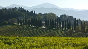 Kebio